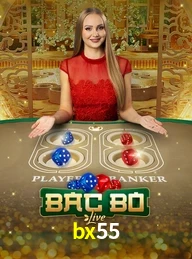 BX55.COM
