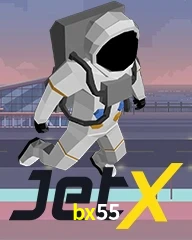 BX55.COM