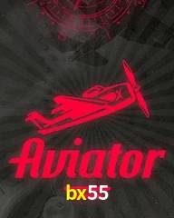 BX55.COM