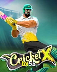 BX55.COM