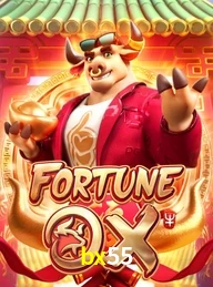 BX55.COM